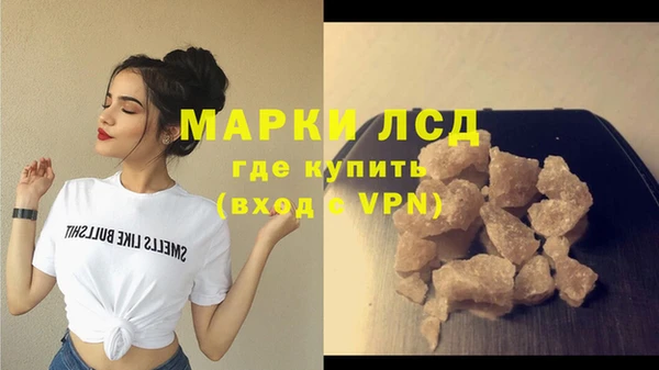 прущие грибы Богородск
