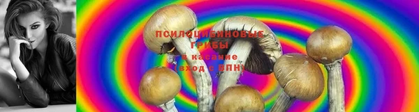 меф VHQ Богданович