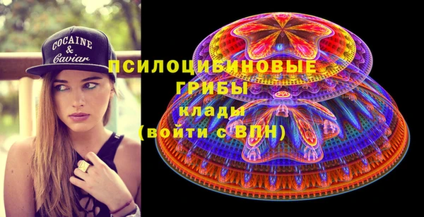 прущие грибы Богородск