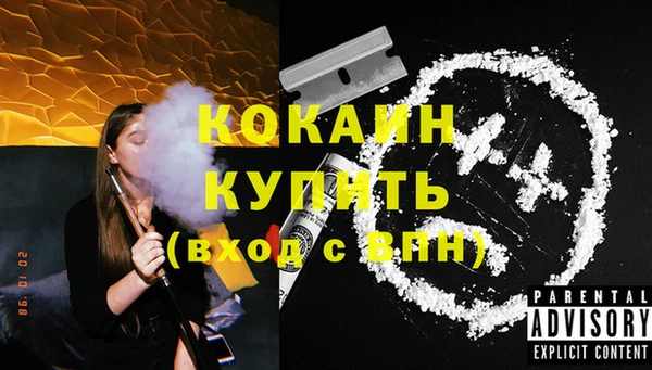 прущие грибы Богородск
