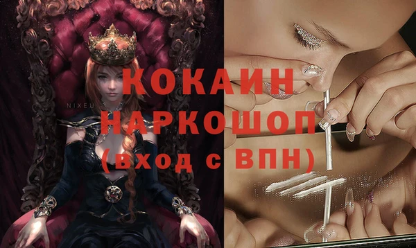 прущие грибы Богородск