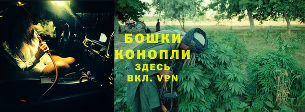 прущие грибы Богородск