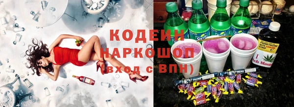 прущие грибы Богородск