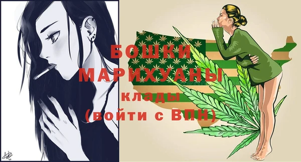 прущие грибы Богородск