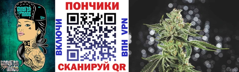 Купить где  Вилючинск  Бошки марихуана Amnesia 